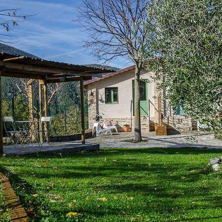 Le Voltarelle Bed & Breakfast Serra San Quirico Exterior photo