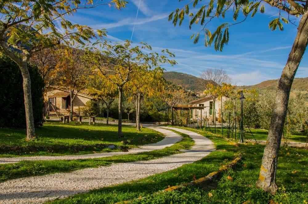Le Voltarelle Bed & Breakfast Serra San Quirico Exterior photo